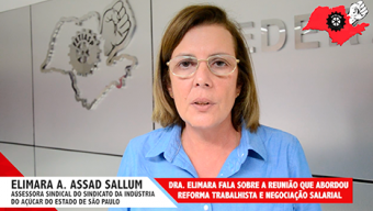 Entrevista com Dra. Elimara