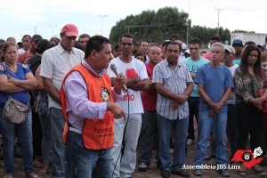 Lins (13)