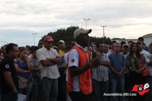 Lins (14)