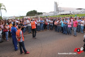 Lins (15)