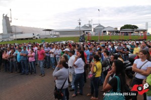 Lins (16)