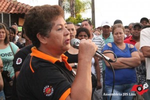 Lins (17)