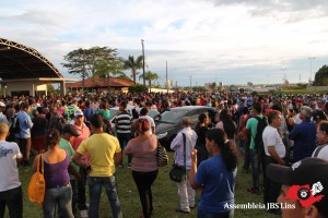 Lins (19)