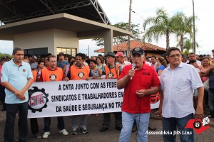 Lins (23)