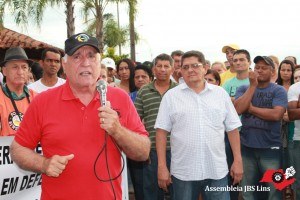 Lins (25)