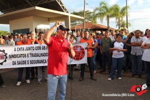 Lins (28)
