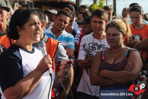 Lins (31)