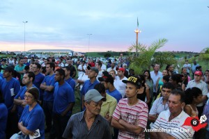 Lins (7)